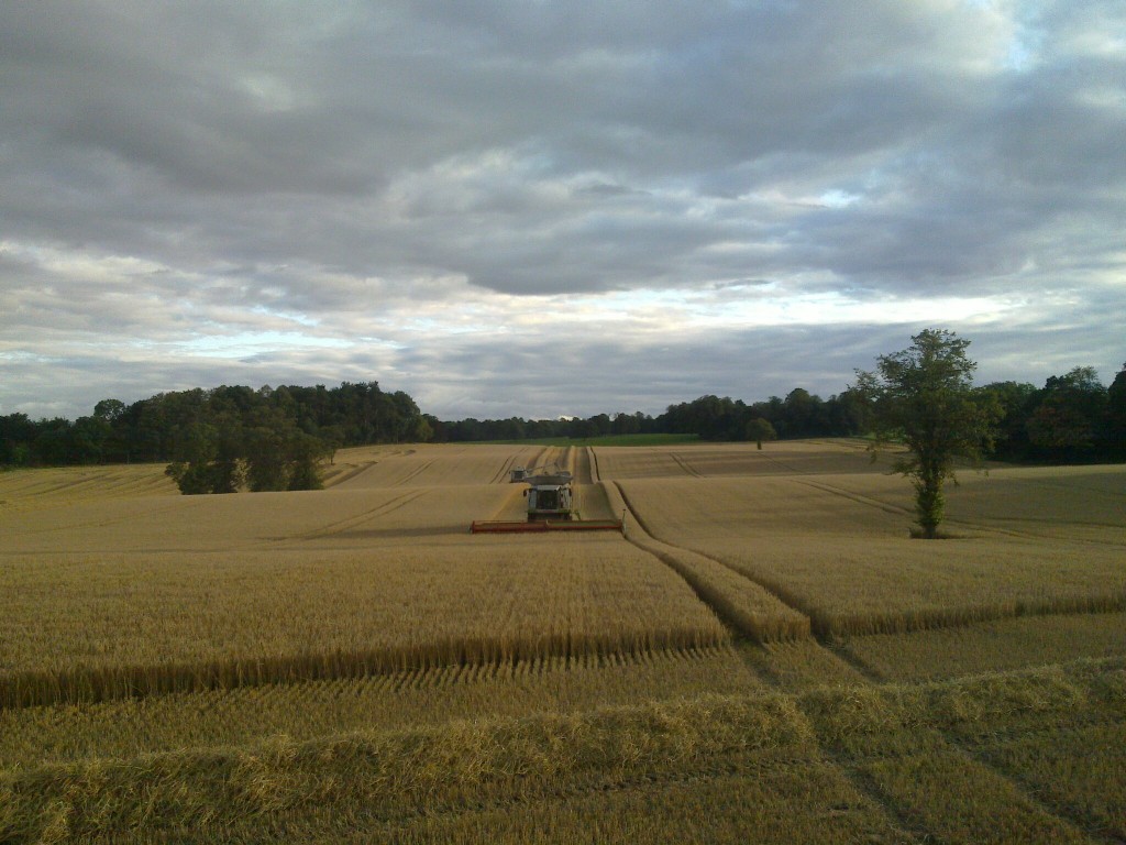 20110830_001