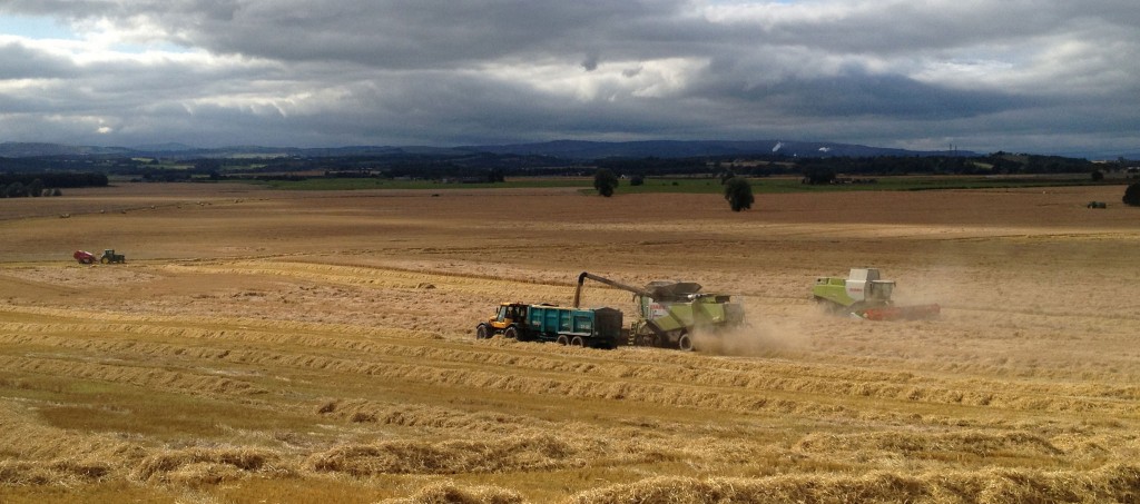Harvest Stirling 2012