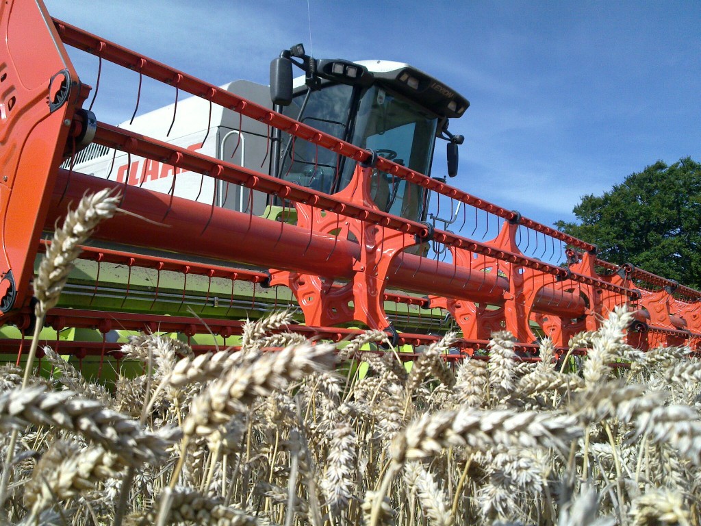 20100831_001 (2)
