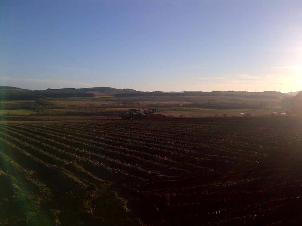 IMG-20121104-01507