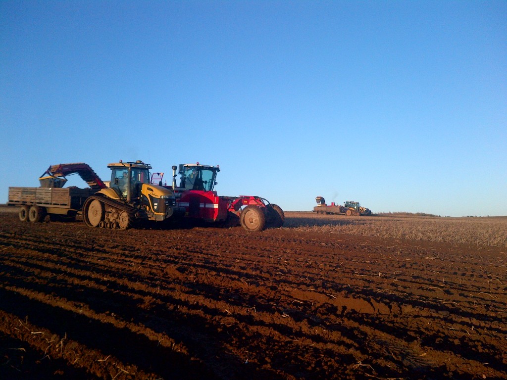 IMG-20121104-01513