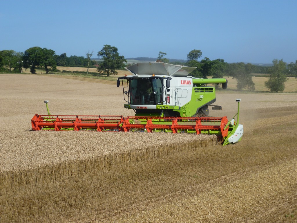 Harvest 2014